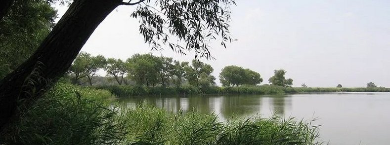 Відпочинок за містом Відпочинок за містом